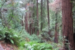 napa-sanfrancisco-2364