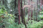 napa-sanfrancisco-2365