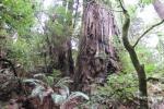 napa-sanfrancisco-2366