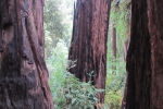 napa-sanfrancisco-2367