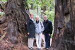 napa-sanfrancisco-2368