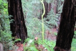 napa-sanfrancisco-2373
