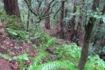 napa-sanfrancisco-2380