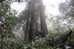 napa-sanfrancisco-2385