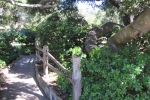 napa-sanfrancisco-2424