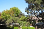 napa-sanfrancisco-2425