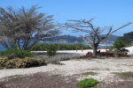 napa-sanfrancisco-2435