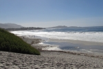 napa-sanfrancisco-2442