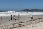 napa-sanfrancisco-2445