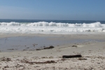 napa-sanfrancisco-2454