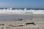 napa-sanfrancisco-2455