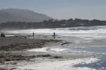 napa-sanfrancisco-2464