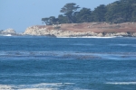napa-sanfrancisco-2469