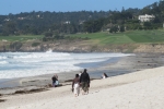 napa-sanfrancisco-2470