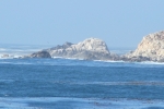 napa-sanfrancisco-2473