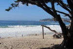 napa-sanfrancisco-2483
