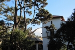 napa-sanfrancisco-2485