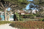 napa-sanfrancisco-2513