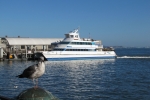 napa-sanfrancisco-2531