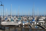 napa-sanfrancisco-2554