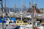 napa-sanfrancisco-2569
