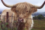 scotland-2001-0902-001
