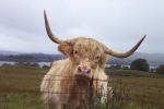 scotland-2001-0902-002