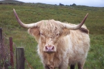 scotland-2001-0902-005
