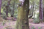 scotland-2001-0902-117