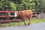 scotland-2001-0903-002