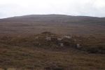 scotland-2001-0903-003