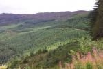 scotland-2001-0903-081