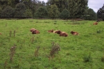 scotland-2001-0904-094
