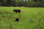 scotland-2001-0904-095