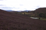 scotland-2001-0904-146
