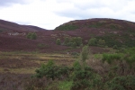 scotland-2001-0904-147