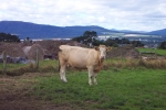 scotland-2001-0904-152