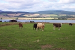 scotland-2001-0904-153