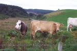 scotland-2001-0905-013