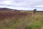 scotland-2001-0905-019
