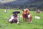 scotland-2001-0905-032