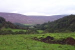 scotland-2001-0905-033