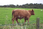 scotland-2001-0905-045