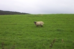 scotland-2001-0905-061