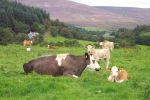 scotland-2001-0905-062