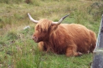 scotland-2001-0905-068