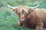 scotland-2001-0905-069