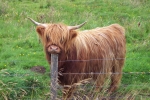 scotland-2001-0905-071