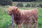 scotland-2001-0905-073
