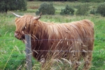 scotland-2001-0905-074